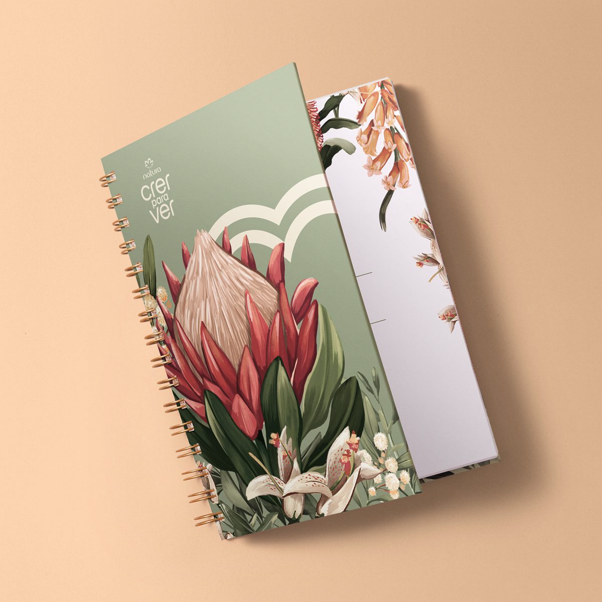 Detalhes do Caderno Crer para Ver