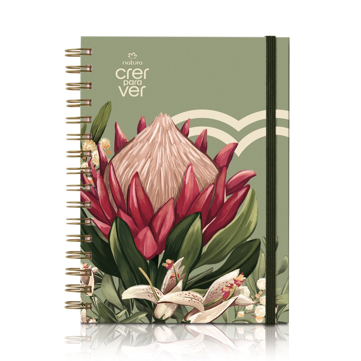 Caderno Crer Para Ver 1 Unidade