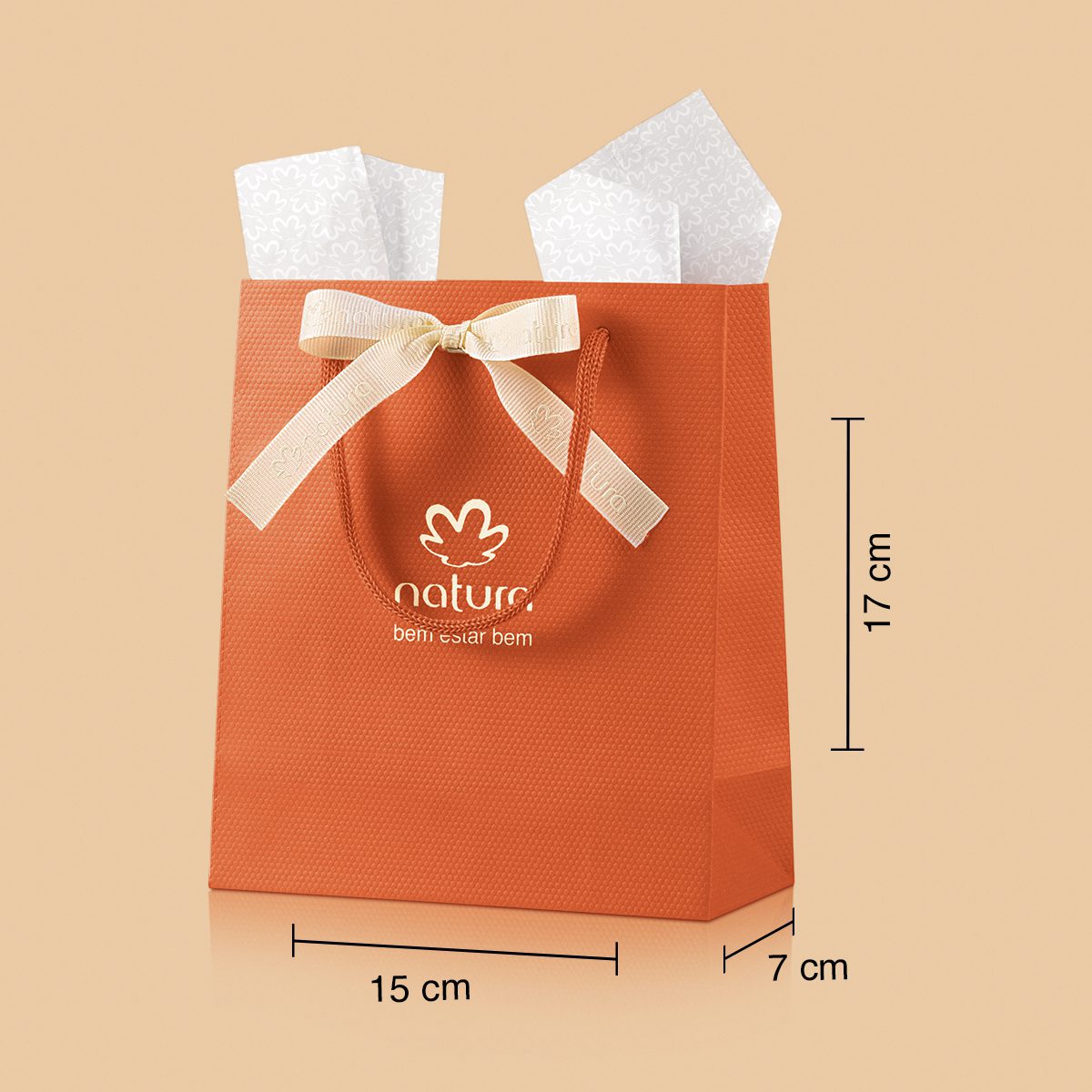 Sacola de Presente Mini com Laço fechada com laço decorativo