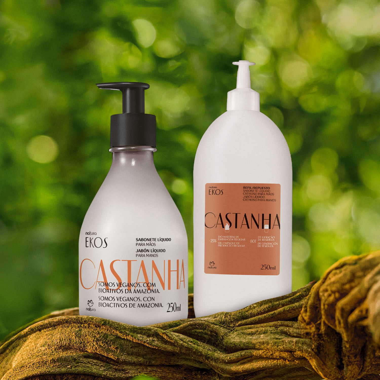 Fragrância cremosa da castanha