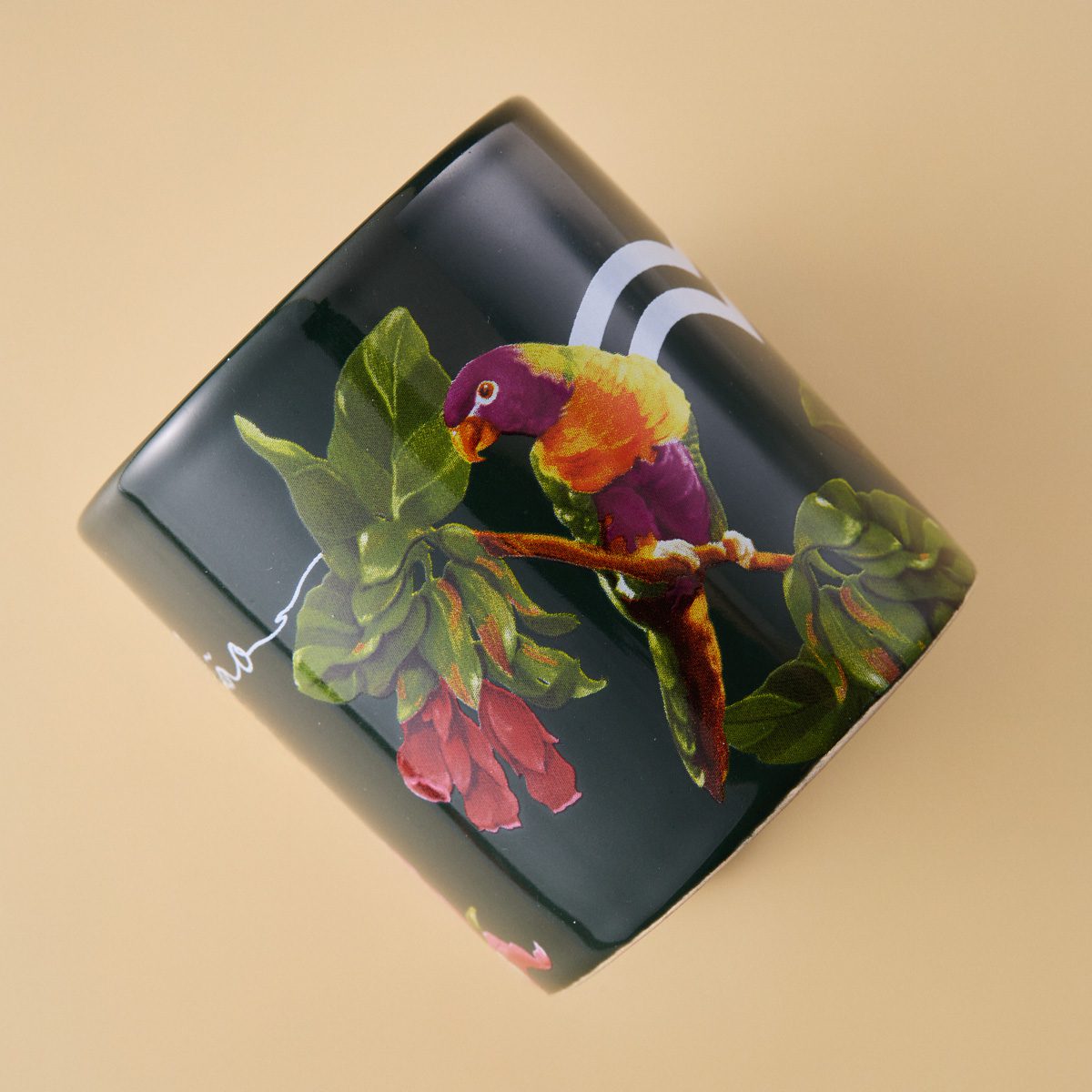 Detalhe da estampa exclusiva da caneca Natura Crer para Ver