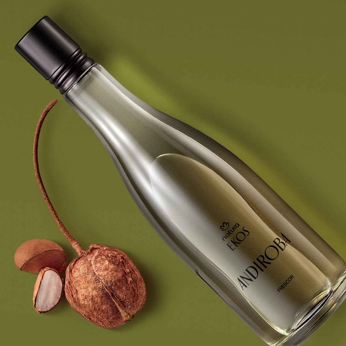 Fragrância inspirada nas madeiras submersas