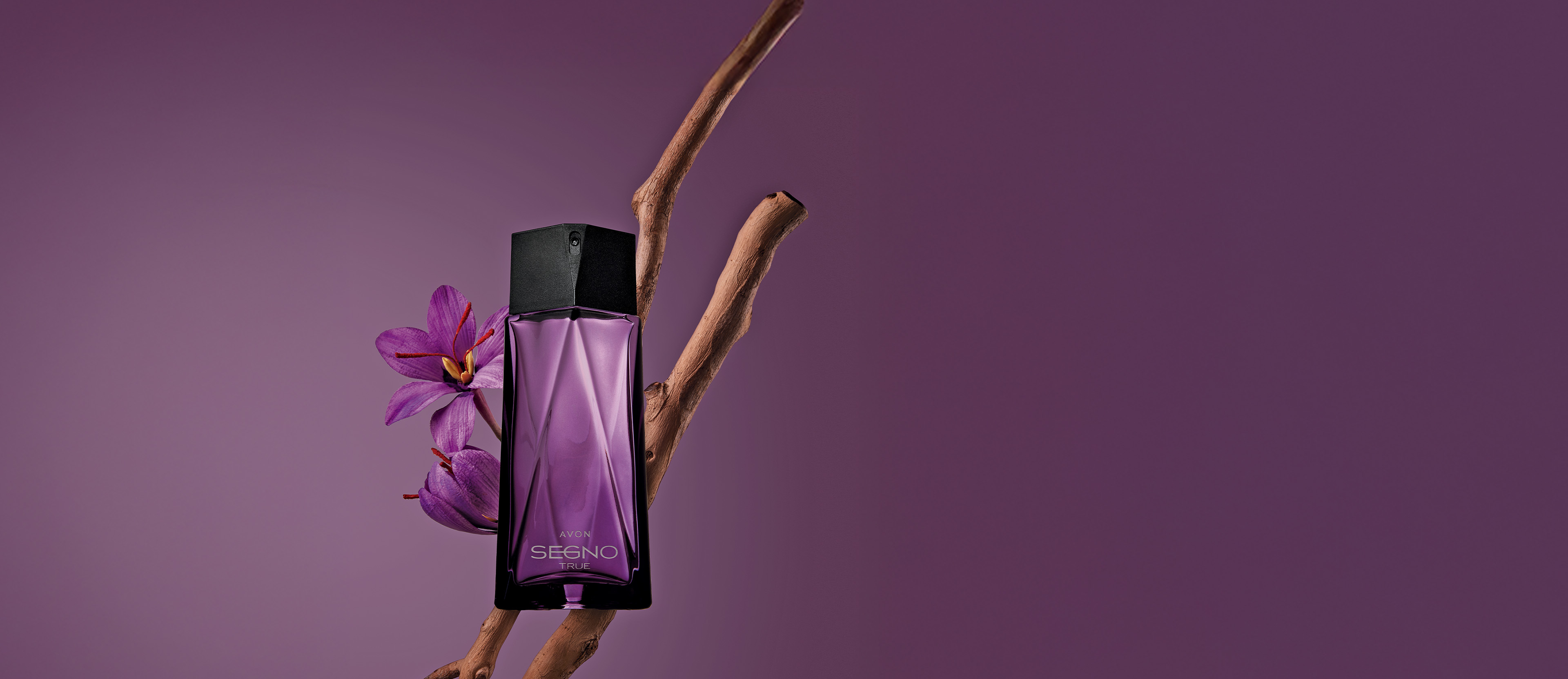 Banner Segno True Deo Parfum para o homem autêntico