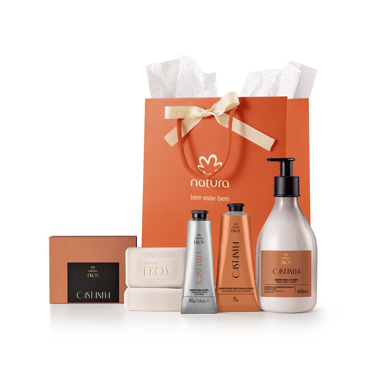 Presente Natura Ekos Castanha Completo 4 Produtos