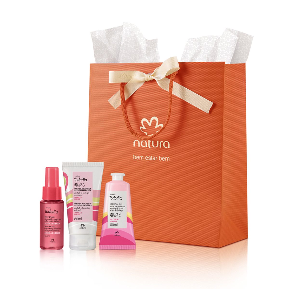 Presente Natura Tododia Acerola E Hibisco 3 Produtos