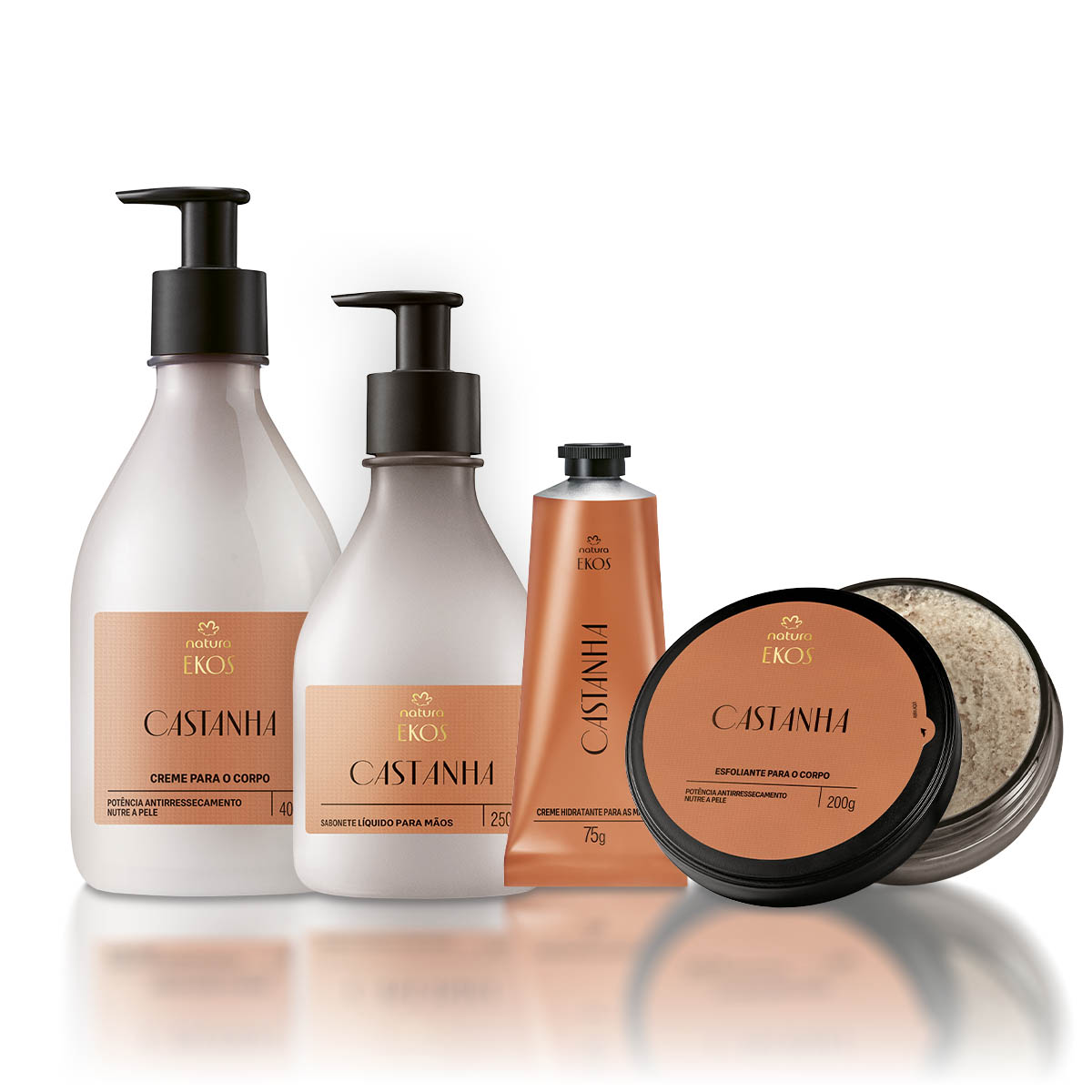 Kit Ekos Castanha Completo 4 Produto Ekos Castanha em close-up