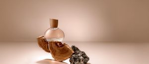 Eau de Parfum Natura 740 Sândalo Breu Branco 50 ml [NATBRA-151030]