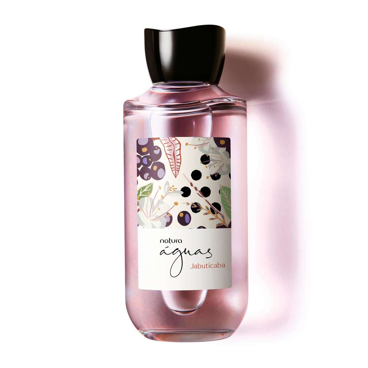 1766923494 17 Aguas Jabuticaba Feminino 170 ml