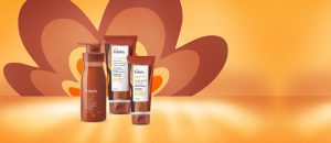 Kit Tododia Jambo Rosa e Flor de Caju com Esfoliante, Hidratante e Iluminador Corporal (3 produtos)