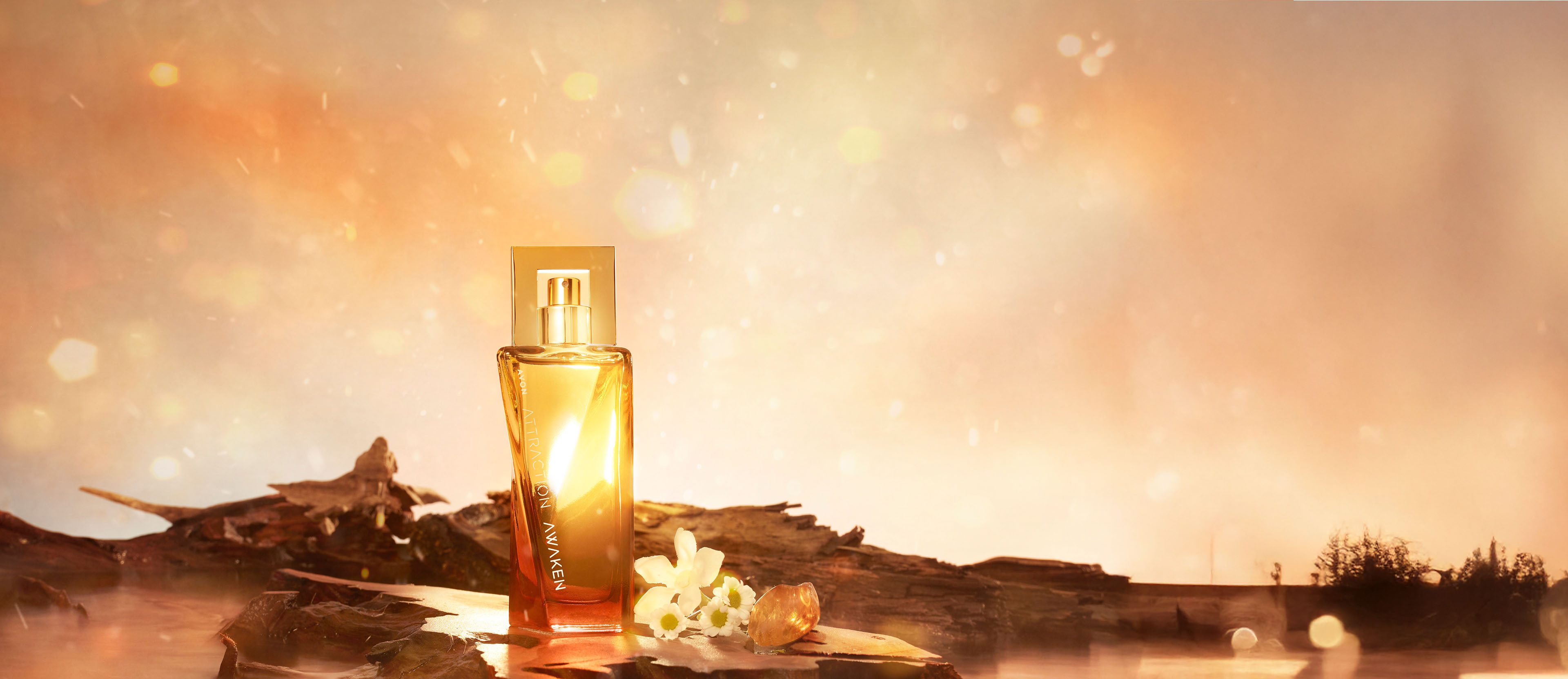 Banner desktop do Attraction Awaken Para Ela