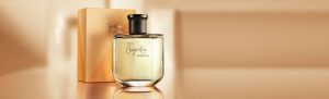 Biografia Encontros Masculino 100 ml