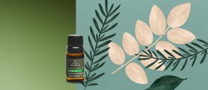 Blend De Oleos Essenciais Despertar Bothanica 10 ml