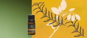 Blend De Oleos Essenciais Energizar Bothanica 10 ml