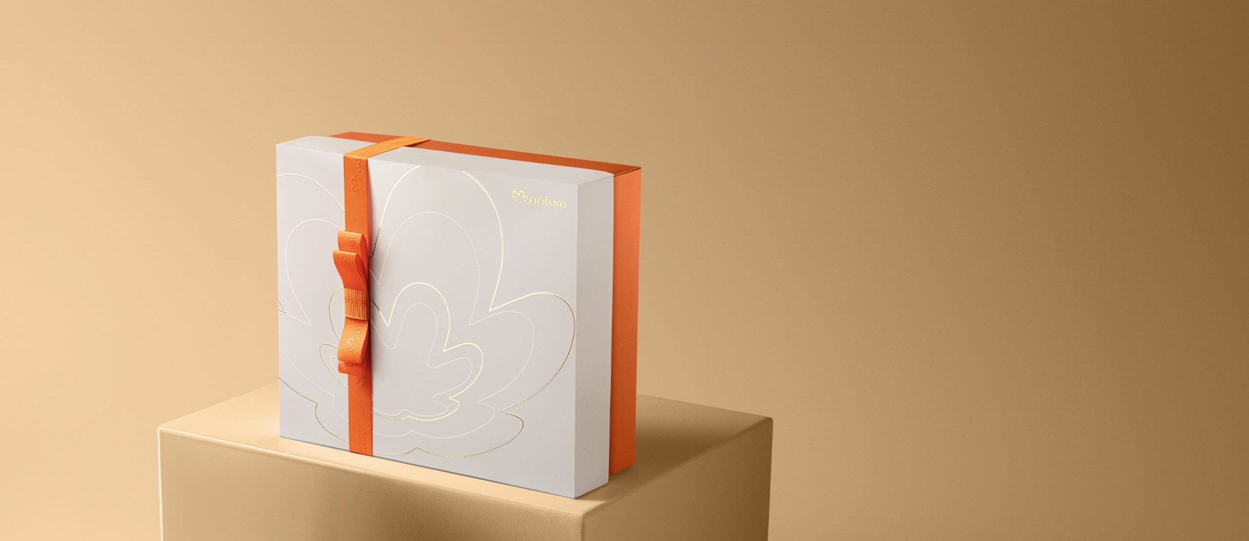 Caixa Especial de Presente Premium 1 Caixa Especial de Presente Premium scaled