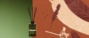 Difusor de Ambiente Natura Bothânica Nobilis Antique