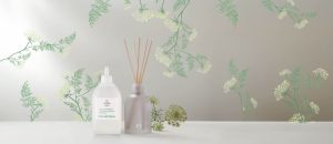 Kit Difusor de Ambientes Erva Doce Casa