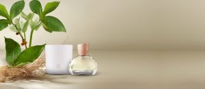 Loja 68 Kit Eau de Parfum Natura 875 Vetiver Capitiú e Vela Perfumada 774 Rosa Capitiú (2 produtos)