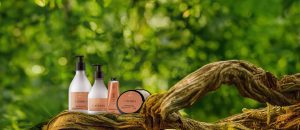 Kit Ekos Castanha Completo