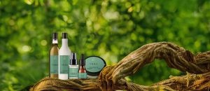 Kit Ekos Patauá Completo [NATBRA-239966]