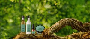 Loja 75 Kit Ekos Patauá Shampoo, Condicionador, Máscara e Tônico