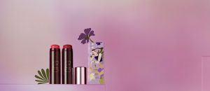 Lip e Blush Stick Una [NATBRA-170504]