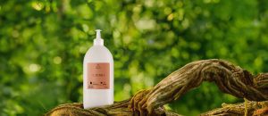 Loja 67 Refil Creme Desodorante Hidratante para o Corpo Ekos Castanha
