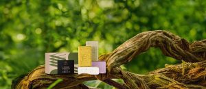 Loja 72 Sabonete em Barra Puro Vegetal Cremoso e Esfoliante Ekos