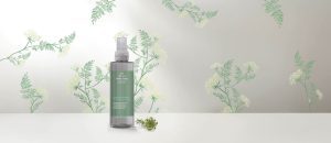 Spray de Ambientes Erva Doce Casa