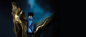 Essencial Oud Feminino 100 ml