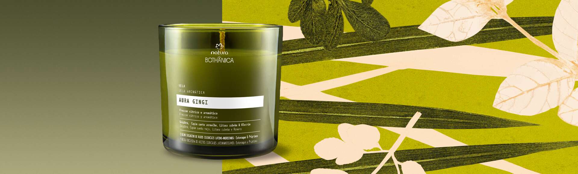 1768216750 624 Vela Natura Bothanica Aura Gingi