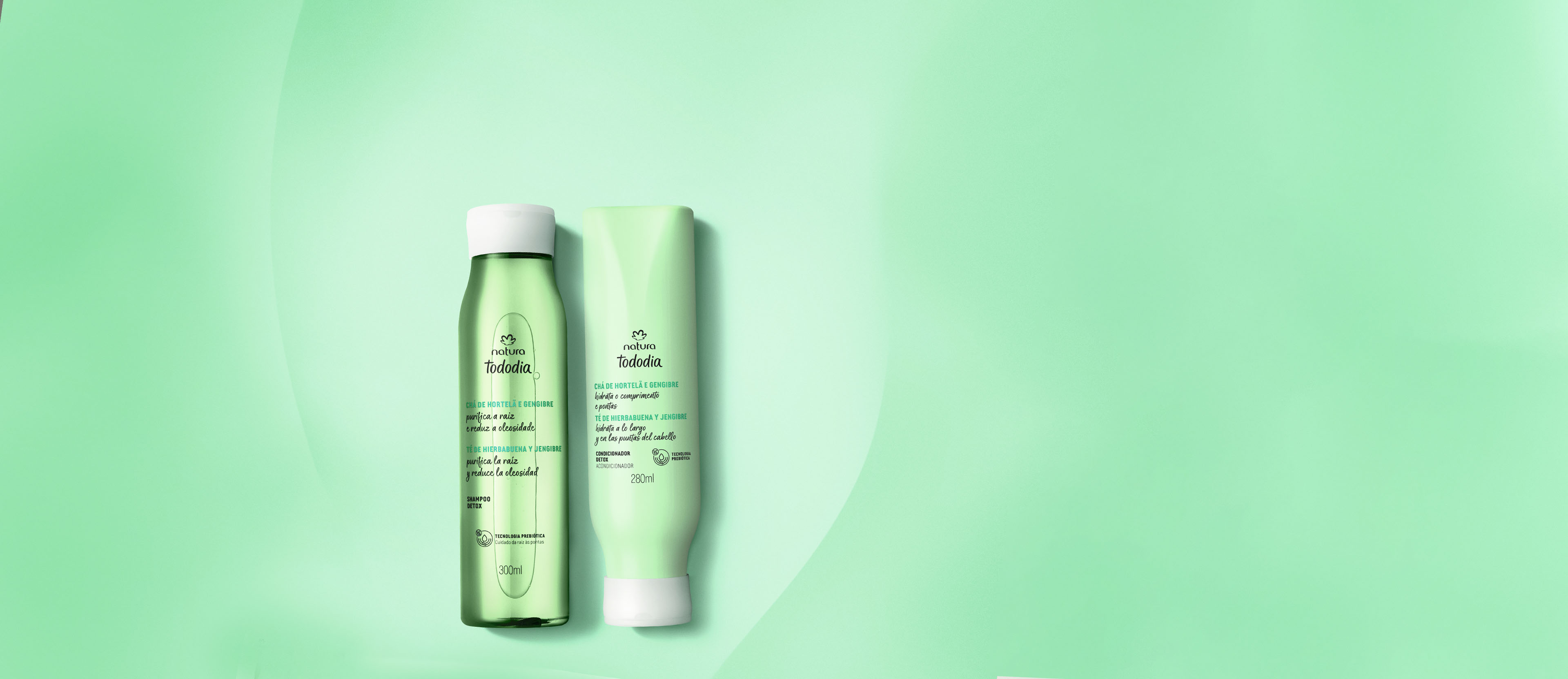 1769562445 336 Kit Tododia Detox para Cabelos Mistos e Oleosos 2 produtos