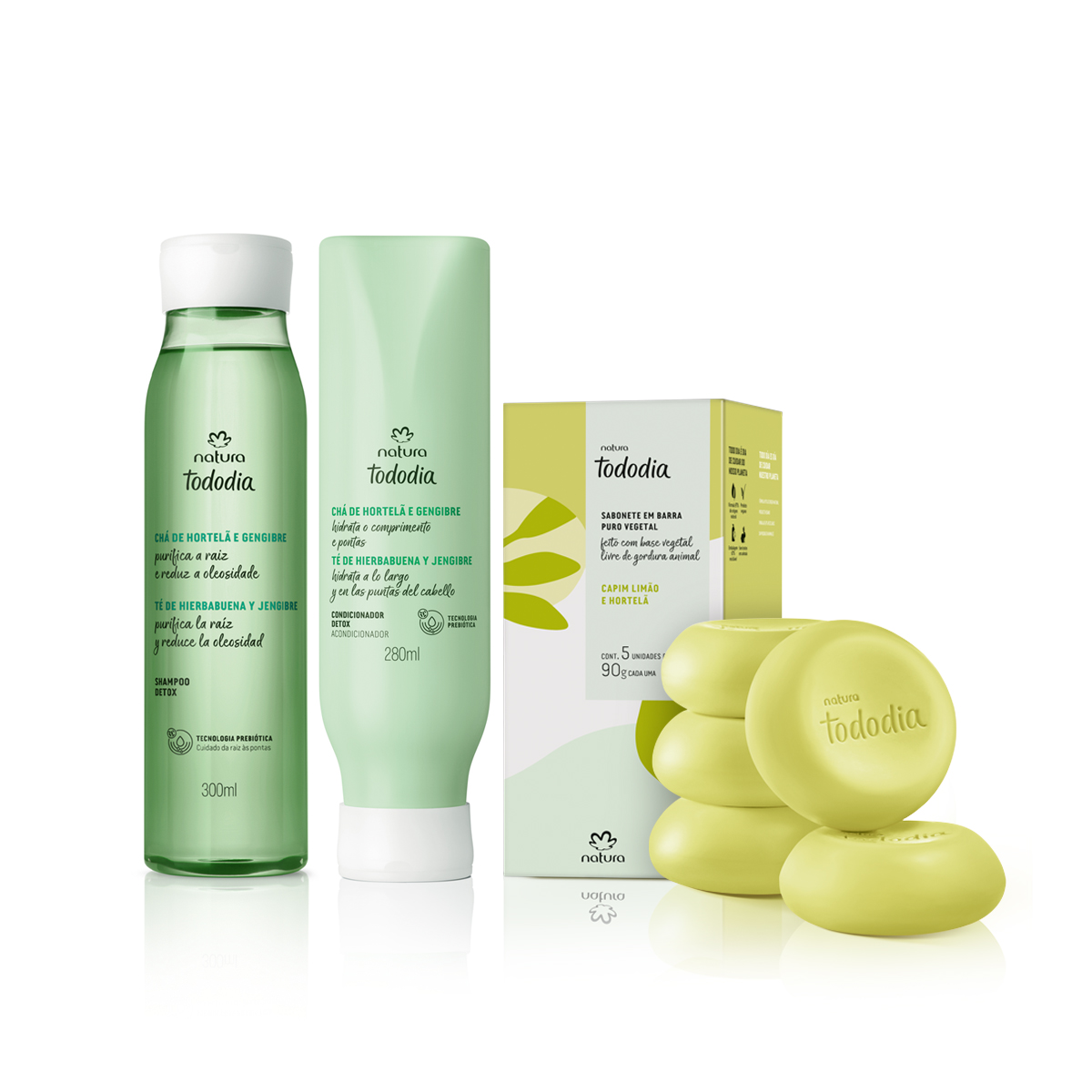1769569921 304 Kit Tododia Antioleosidade e Sabonete 3 produtos