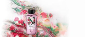 Loja 66 Águas Framboesa Feminino 170 ml