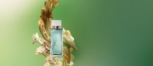 Essencial Sentir Feminino 100 ml