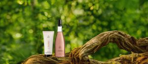 Kit Ekos Castanha Creme para o Corpo e Frescor [NATBRA-239991]