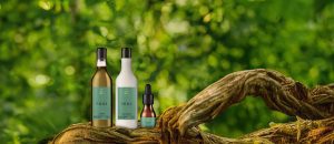 Loja 71 Kit Ekos Patauá Shampoo, Condicionador e Tônico