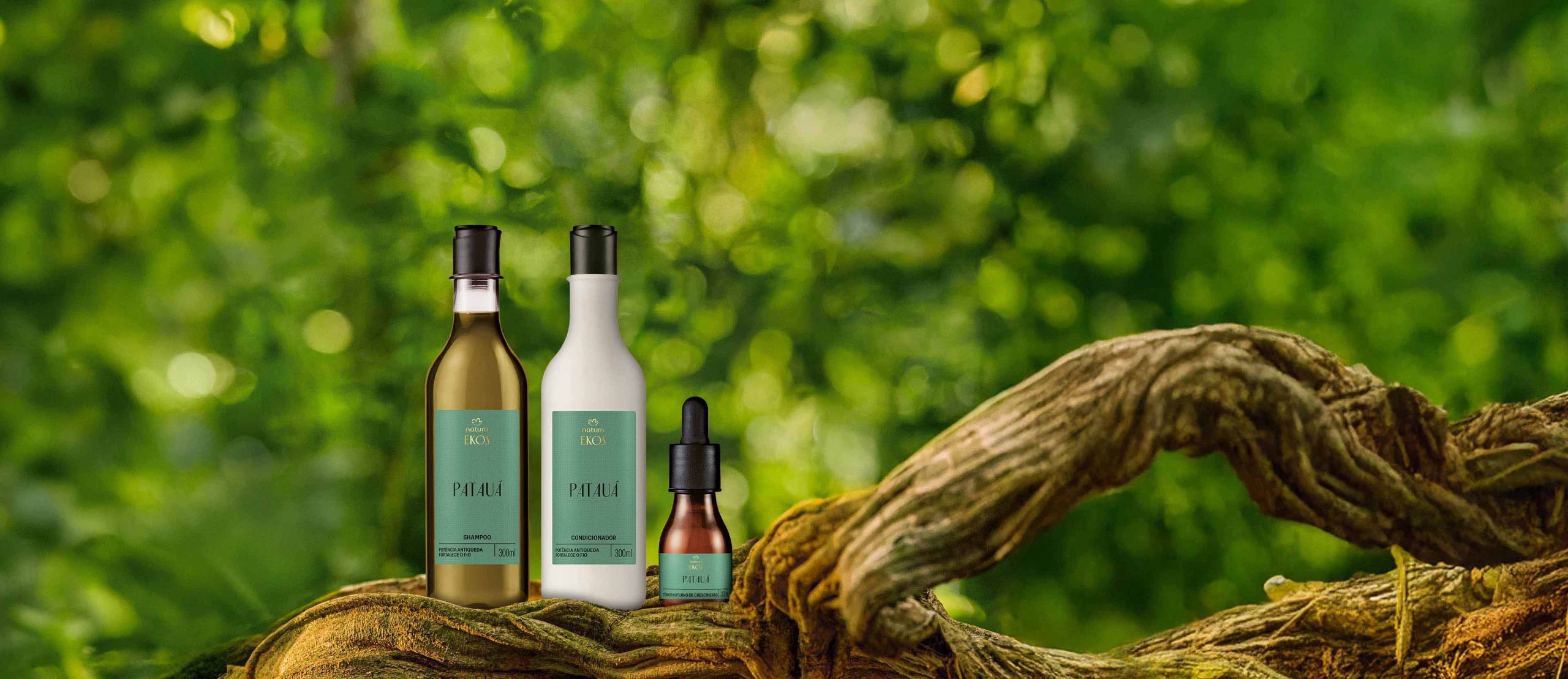 Kit Ekos Patauá Shampoo, Condicionador e Tônico 1 Kit Ekos Pataua Shampoo Condicionador e Tonico scaled