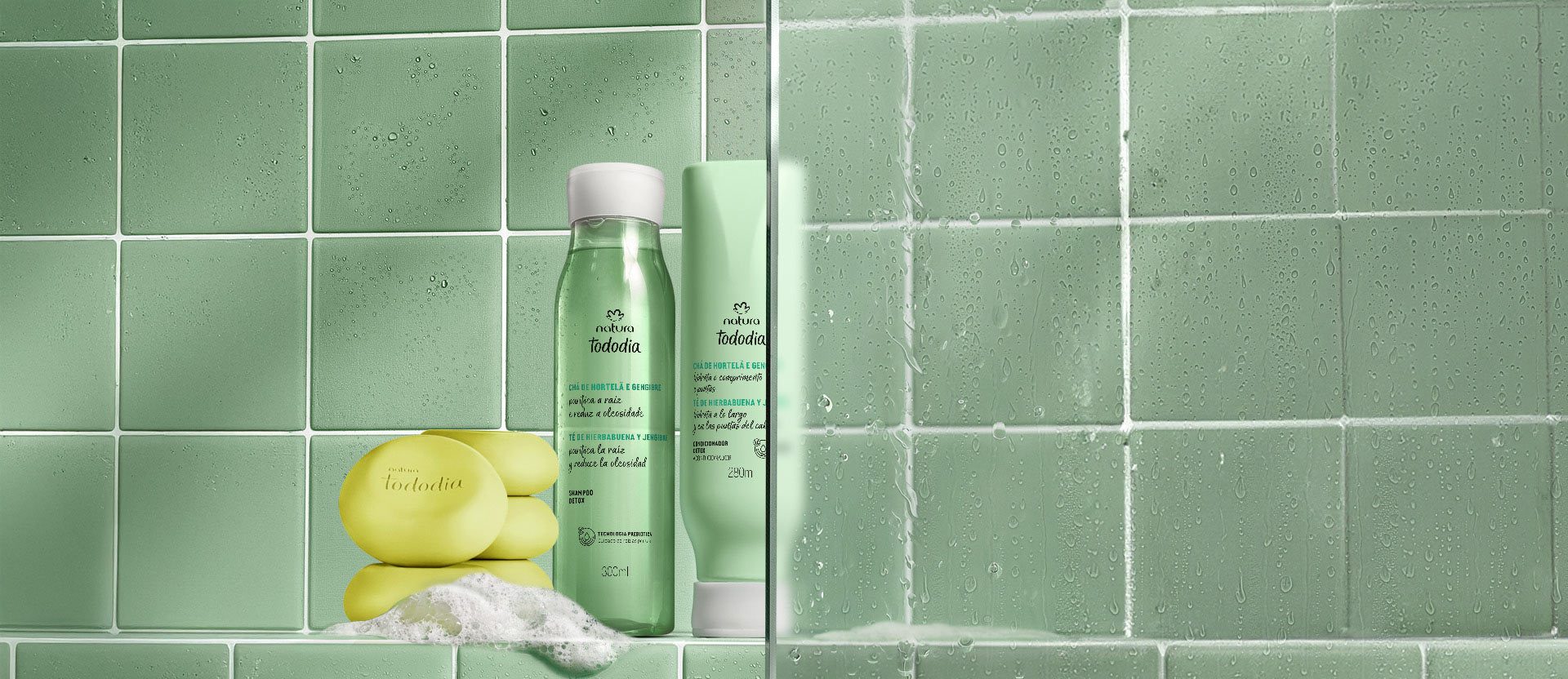 Kit Tododia Antioleosidade e Sabonete 3 produtos
