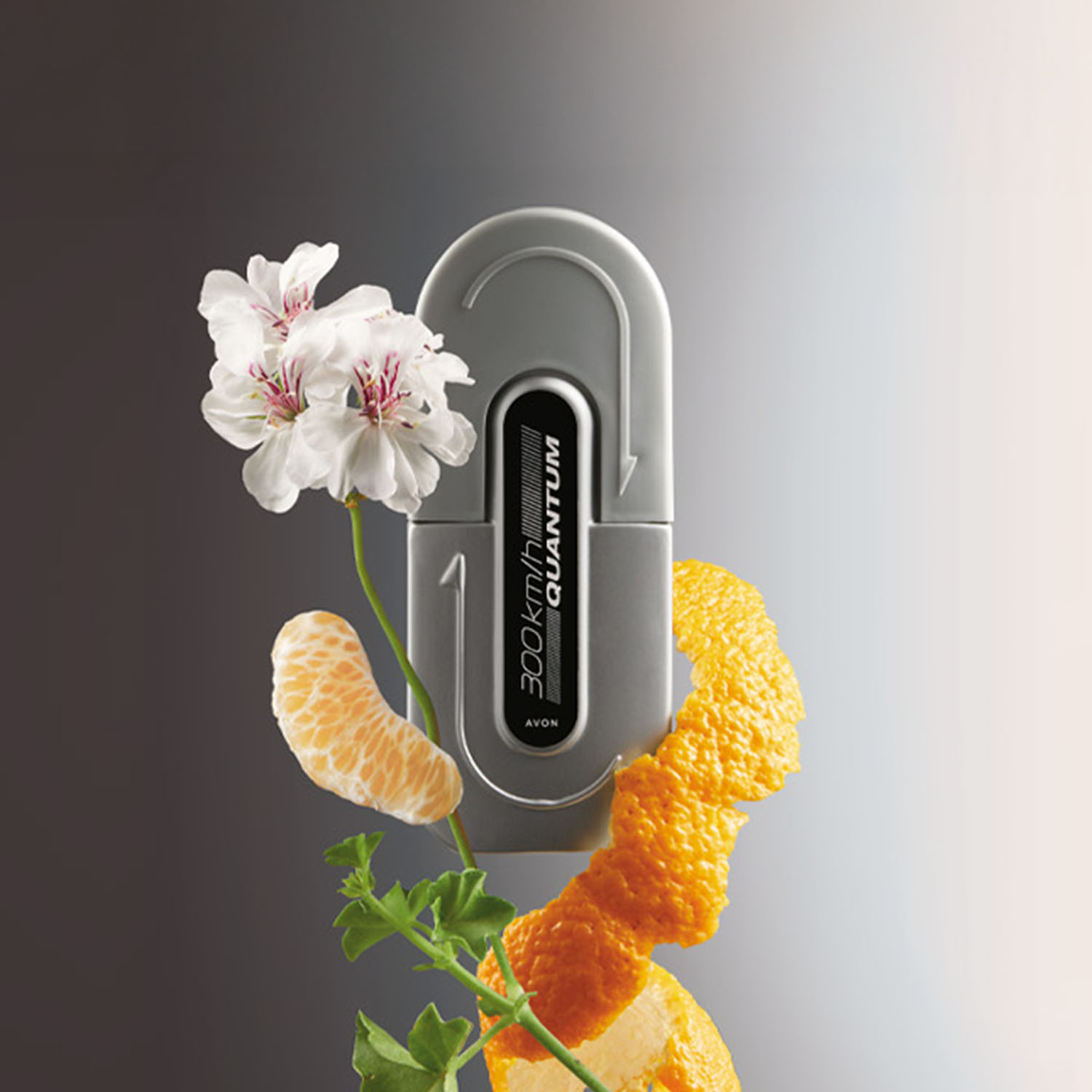 Quantum Deo colonia