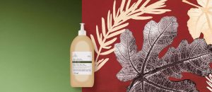 Refil Sabonete Líquido Mãos Bothânica Ficus Herb 230 ml