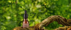 Loja 74 Sérum Noturno Nutritivo Ekos Murumuru