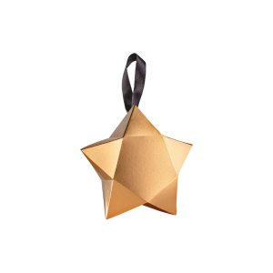 Caixinha Especial Estrela [AVNBRA-221262]