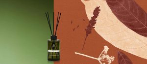 Difusor de Ambiente Natura Bothânica Nobilis Antique [NATBRA-139261]