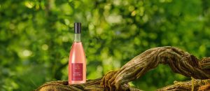 Loja 76 Ekos Frescor Banho de Cheiro Flor de Vindicá 150 ml