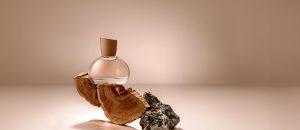 Eau de Parfum 740 Sândalo Breu Branco 50 ml [NATBRA-151030]