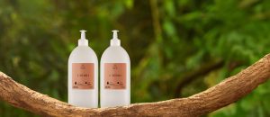 Kit Creme Desodorante Hidratante para o Corpo Ekos Castanha [NATBRA-249679]
