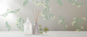 Kit Difusor de Ambientes Erva Doce Casa