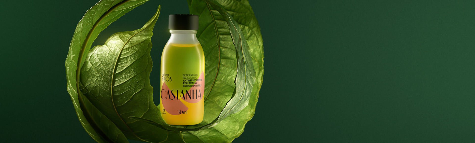 Refil Concentrado Corporal em Creme Ekos Castanha