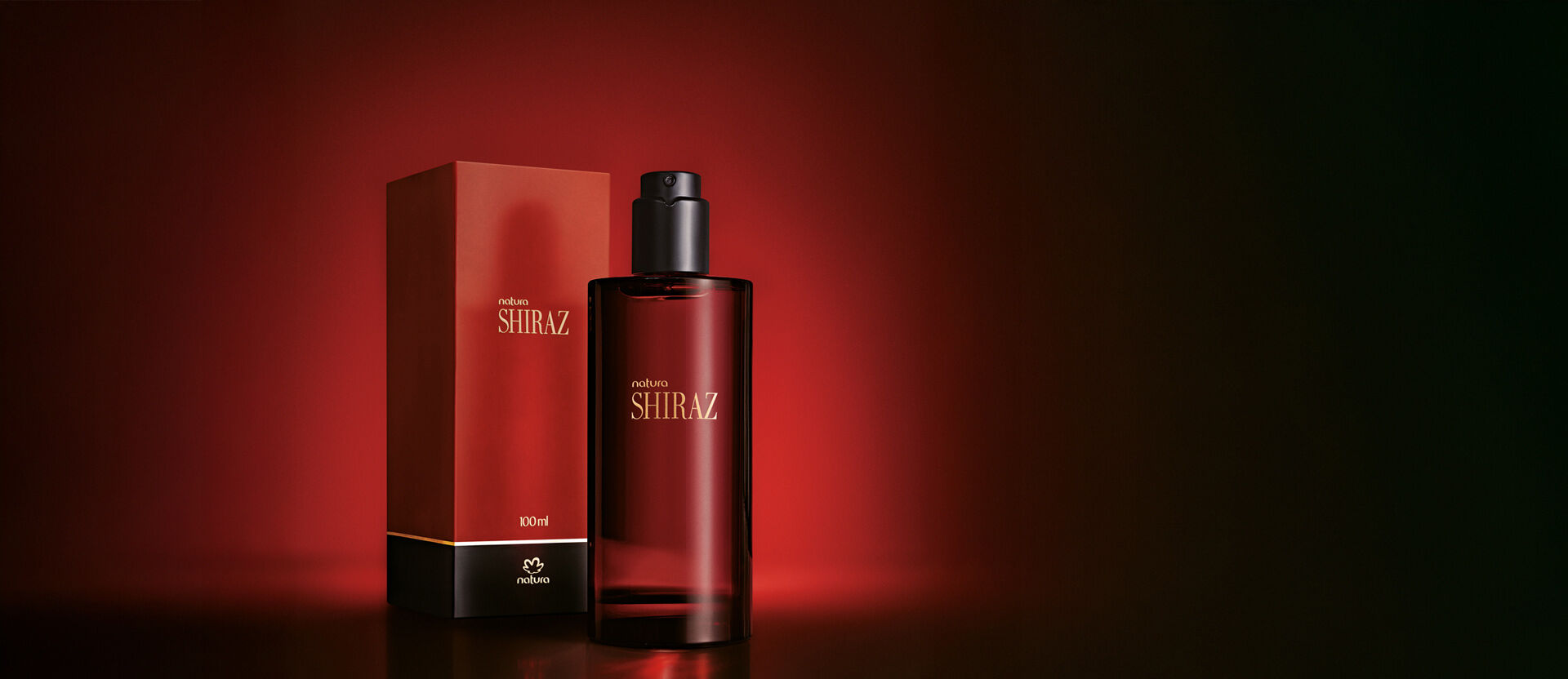 1789479898 454 Shiraz Feminino 100 ml