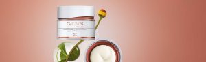 Gel Creme Antissinais 30+ Dia Renovação e Energia Chronos [NATBRA-57996]